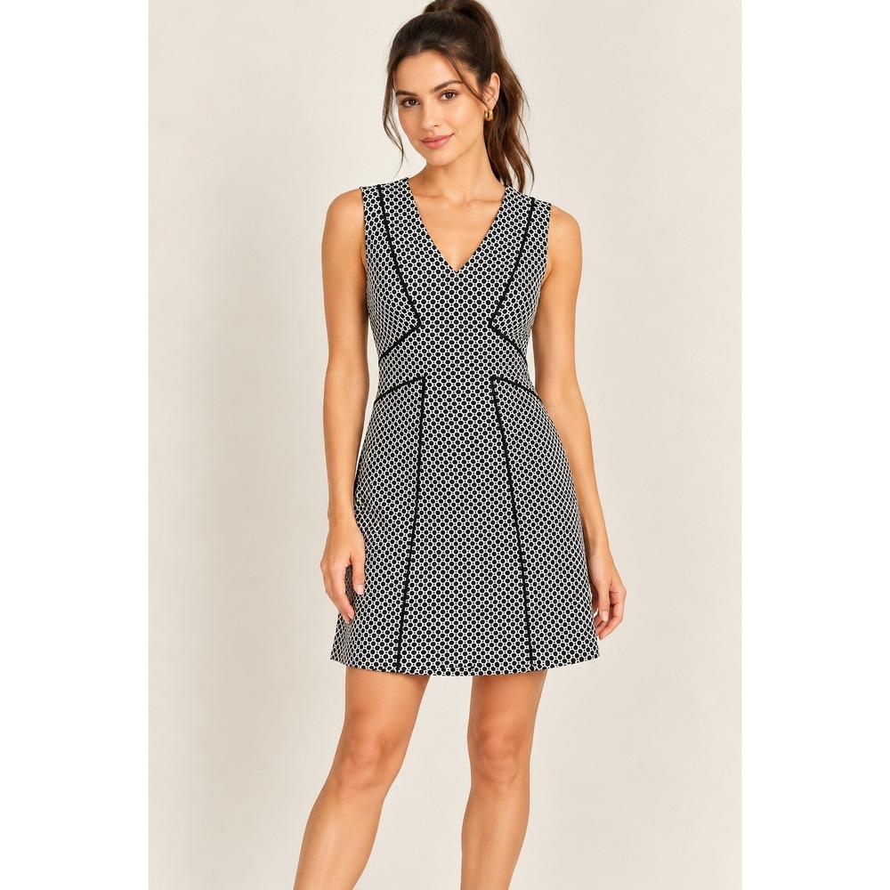 Adrianna Papell Sleeveless Dress A-Line Sheath Black White Career Classic